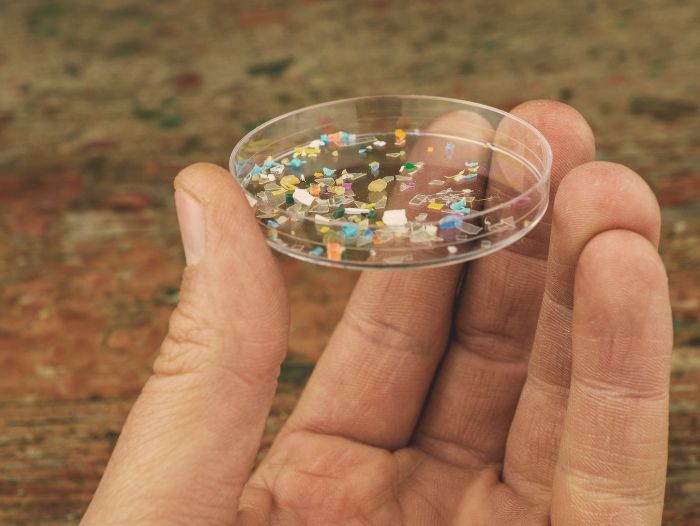 Giftstoffe-mikroplastik