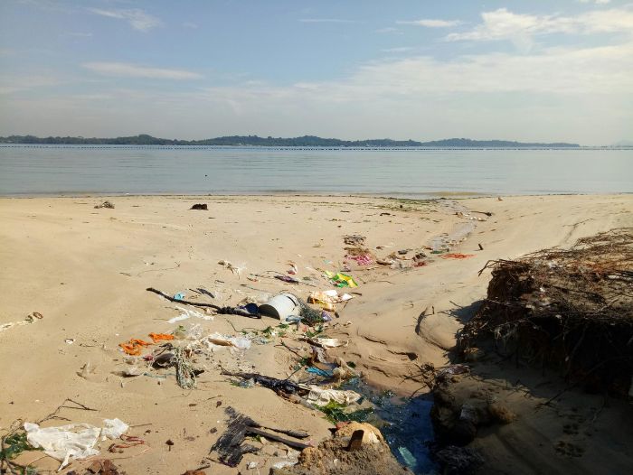 mikroplastik-tomsblogde
